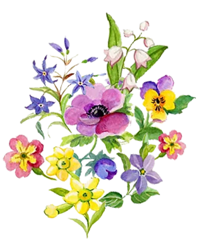flowers3
