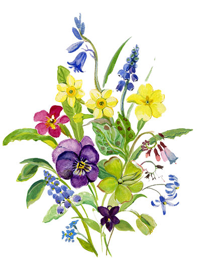 wildflower bunch