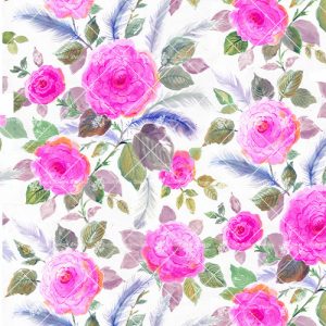 Roses and Feathers FRP19
