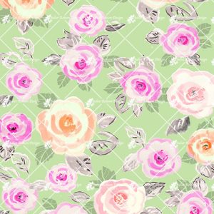 Apricot_Pink Ro DITSY2038