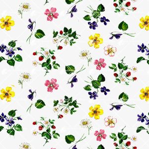 Wild flowers and strawberries D1625