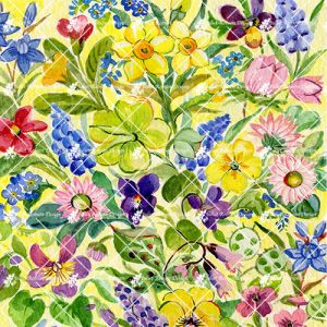 Yellow Chintz CARD002