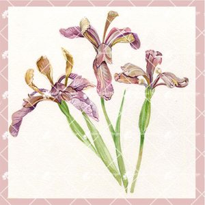 Iris CARD138
