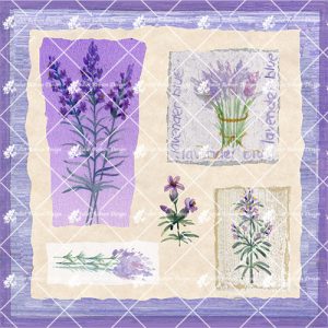 Lavender CARD87