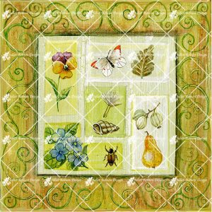 Yellow Border and Moth CARD115