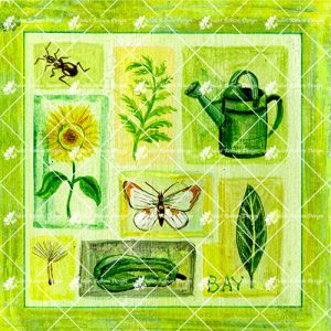 Marrow Sunflower CARD121