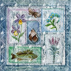 Fish and Forget me Nots CARD123