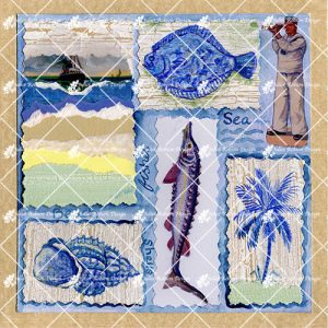 Fish and Shells CARD127