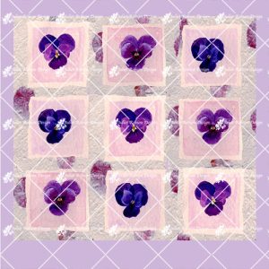 Violas CARD140