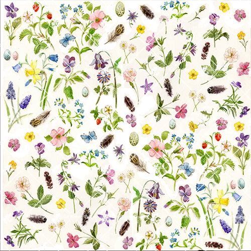 Spring Flowers and Feath CardC212