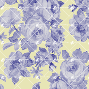 Blue Roses F718