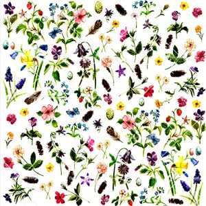 Small Meadow Flowers CARDC2293