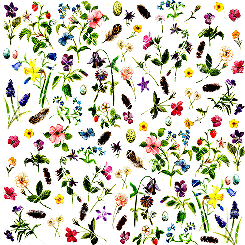 Small Meadow Flowers CARDC2293